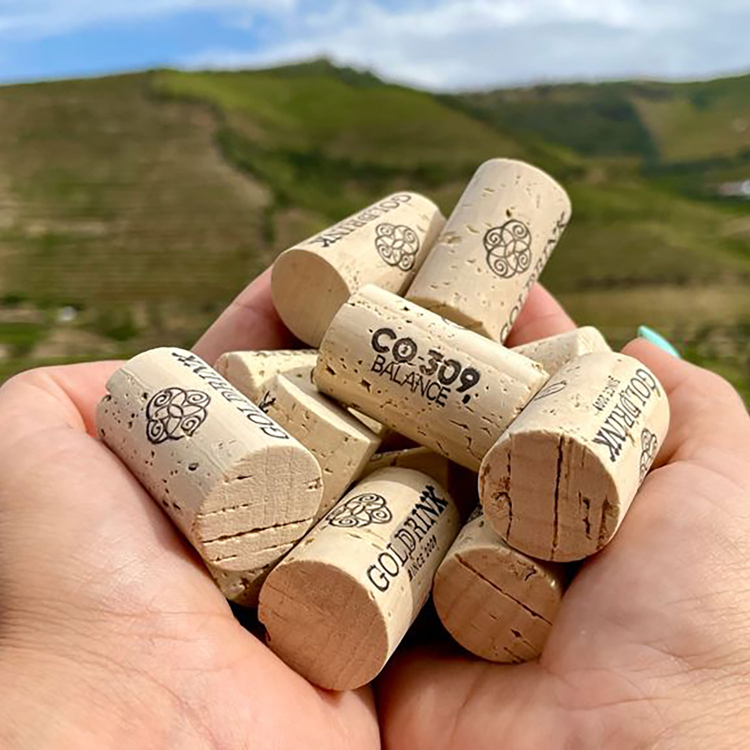 Golddrink invests in sustainability and the environment protection